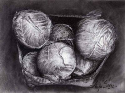 DRAWING AND CHARCOAL ADVENTURES (Fall)
