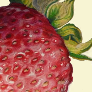 UNLEASH YOURSELF WITH COLORED PENCILS