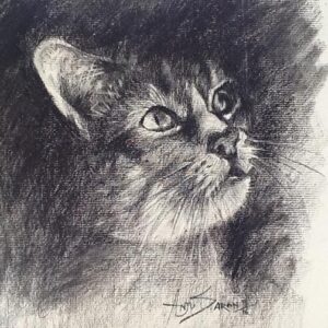 LEARN TO DRAW