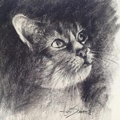LEARN TO DRAW