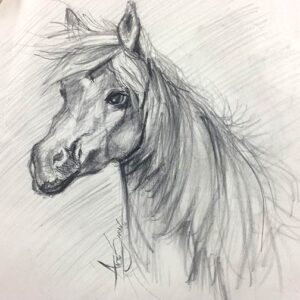 LEARN TO DRAW