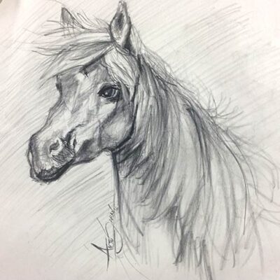 LEARN TO DRAW