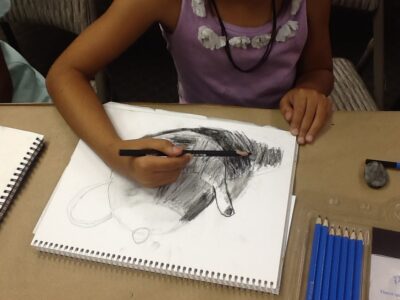 Week 3A: CHARCOAL AND PASTEL CAMP - Image 5