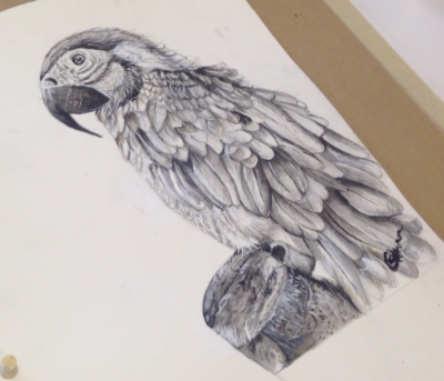 AMAZING DRAWING & PAINTINGS - (Adults / Teens) - Image 5