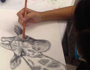 Virtual - PENCIL LINE DRAWING & SHADING FOR BEGINNERS