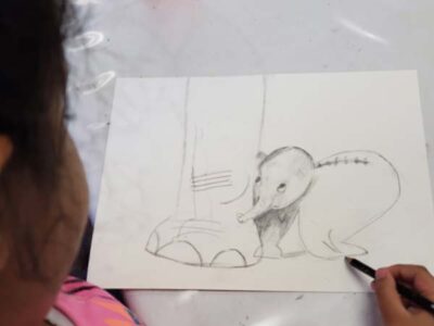 Virtual - PENCIL LINE DRAWING & SHADING FOR BEGINNERS - Image 3
