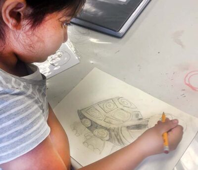 Virtual - PENCIL LINE DRAWING & SHADING FOR BEGINNERS - Image 4