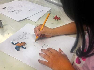 Virtual - PENCIL LINE DRAWING & SHADING FOR BEGINNERS - Image 6
