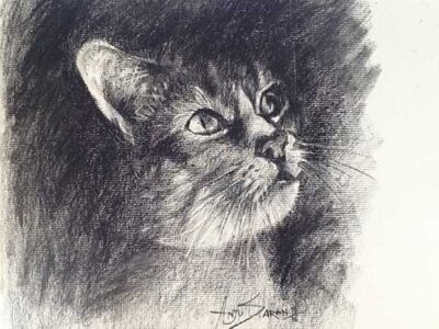 VIRTUAL - PORTRAIT DRAWING & SHADING - Image 4