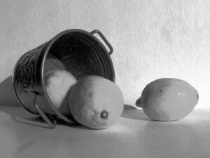 Virtual - STILL LIFE DRAWING & SHADING